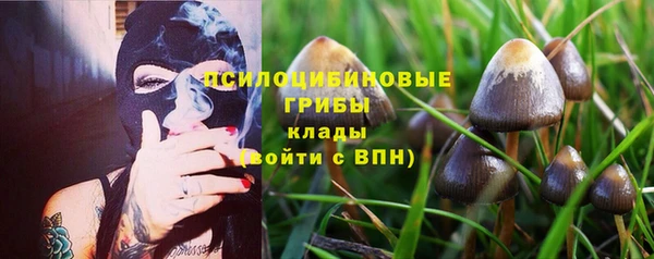 героин Алексин
