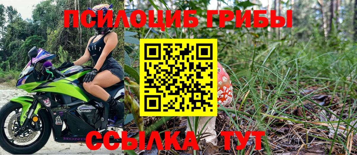 Галлюциногенные грибы MAGIC MUSHROOMS Луга