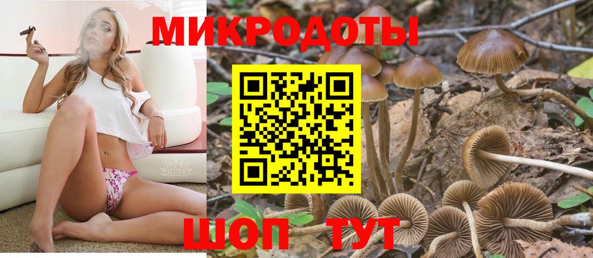 Псилоцибиновые грибы Psilocybine cubensis  Вход с VPN  Луга 